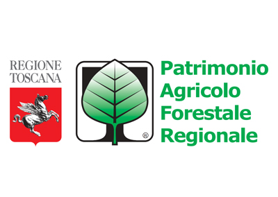 Ita – Patrimonio Agricolo Forestale